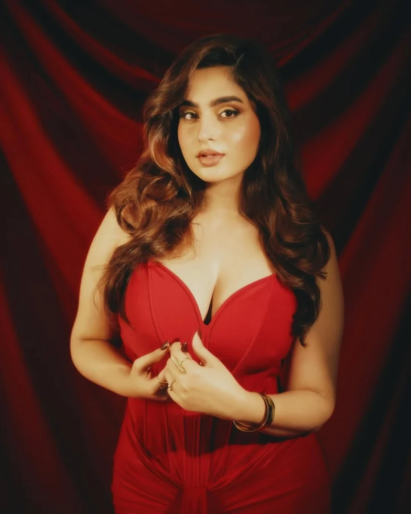 Ayesha Khan films list Telugu and Hindi movies