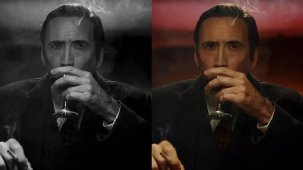 Spider-Noir Live-Action Series Release Date, Cast & Everything We Know