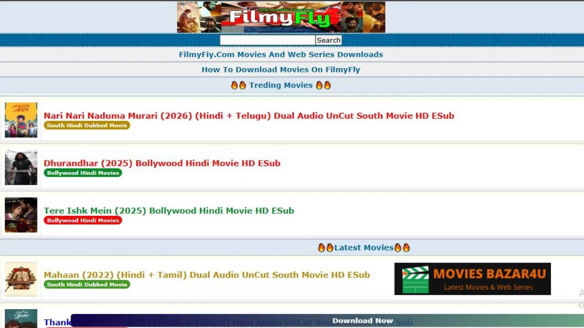 Latest Filmyfly Bollywood Movie Searches and XYZ Today Updates 2026