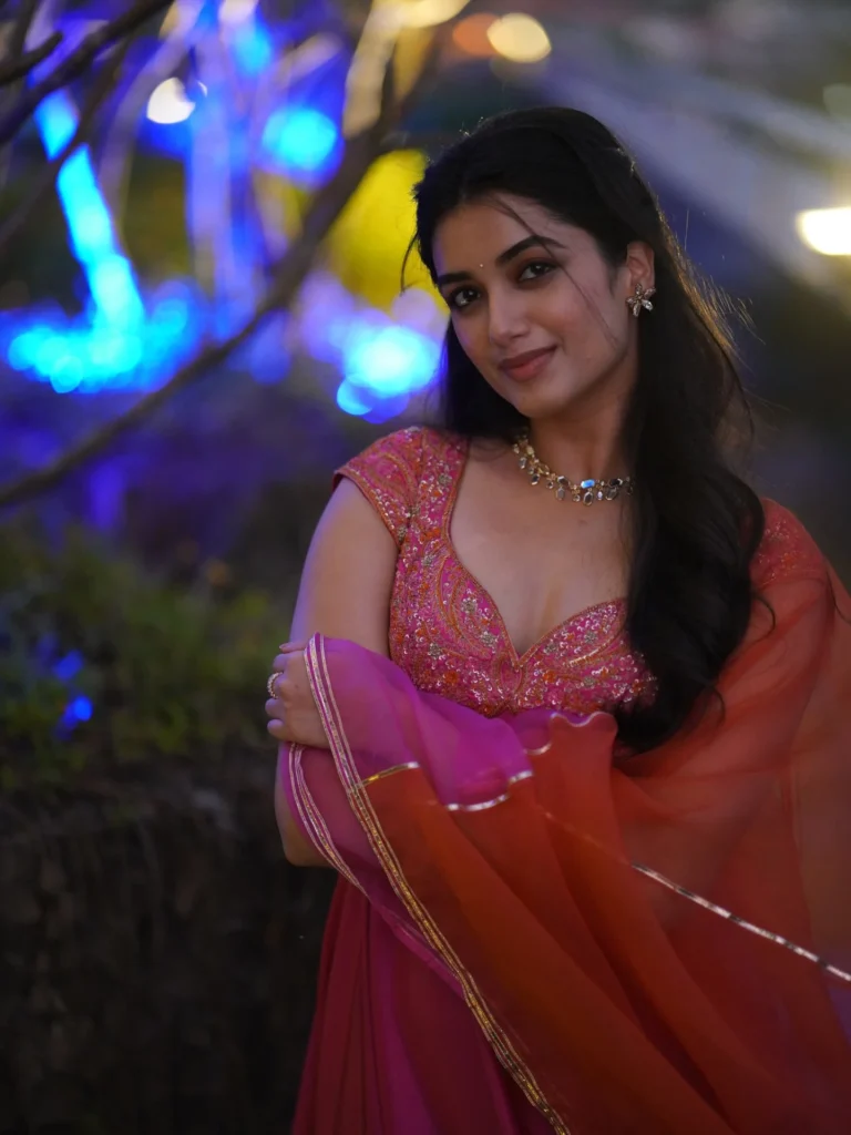 Bhagyashri Borse Net Worth